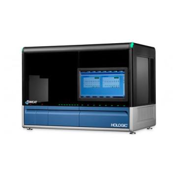 Tomcat mot vit bakgrund